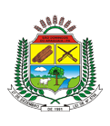 Prefeitura de São Domingos do Araguaia