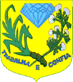 Prefeitura de Tenente Ananias