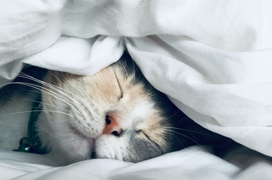 The Importance of Deep Sleep After Long Travel Days