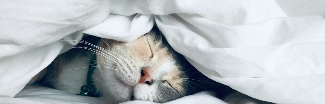 The Importance of Deep Sleep After Long Travel Days