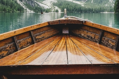 Tech-Savvy Travel: How to Use AI and Price Trackers to Secure the Absolute Best Cruise Deals