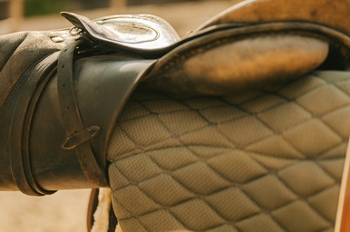 Top Benefits of Owning a Mobile Leather Repair Franchise