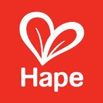 Hape promo codes