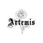 Artemis promo codes