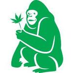 Green Gorilla promo codes