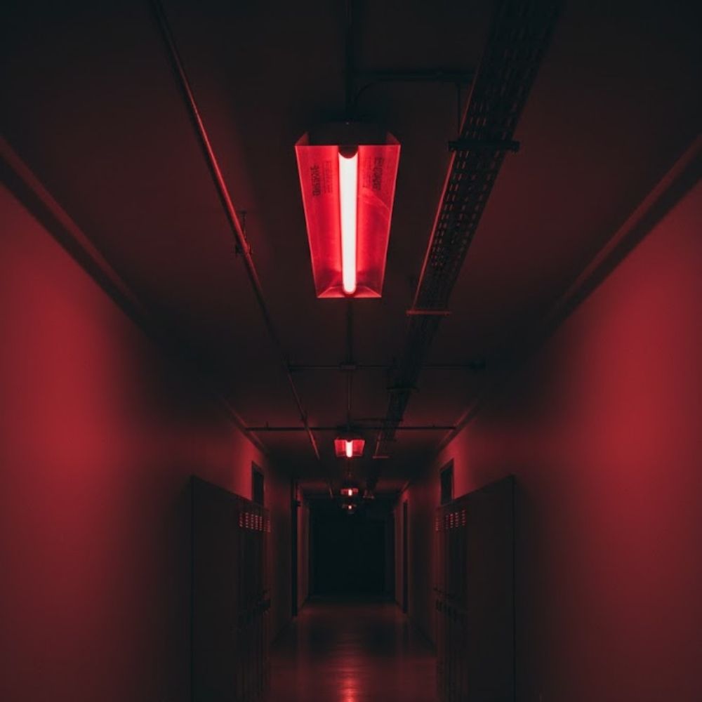 Lâmpada Fluorescente 20W T8 Ecolume Vermelha 26113