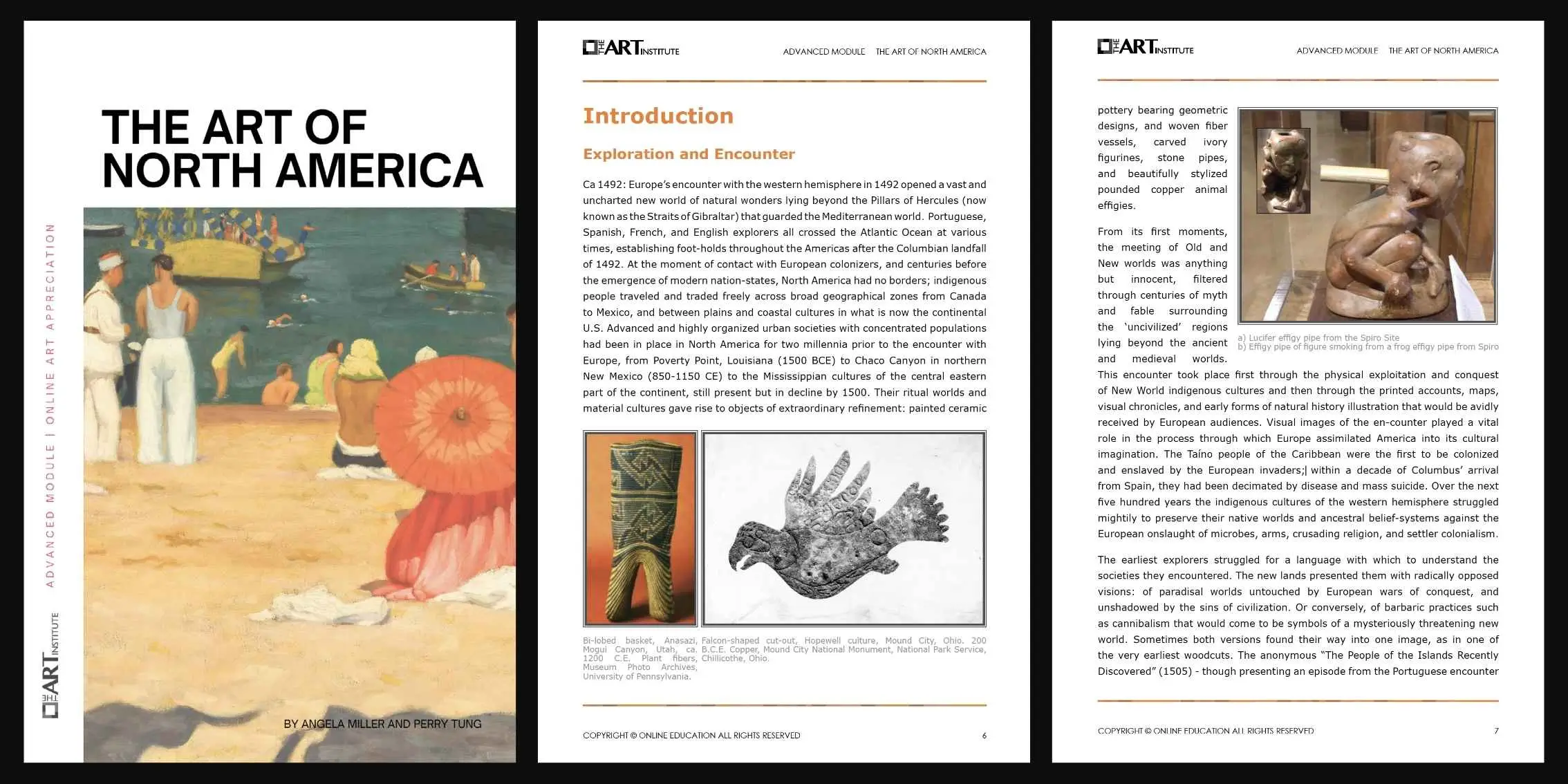 North American Art Advanced Module Preview