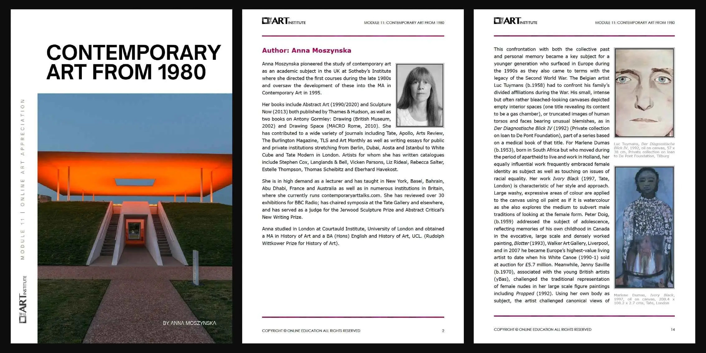 Module 11 Contemporary Art from 1980 Preview