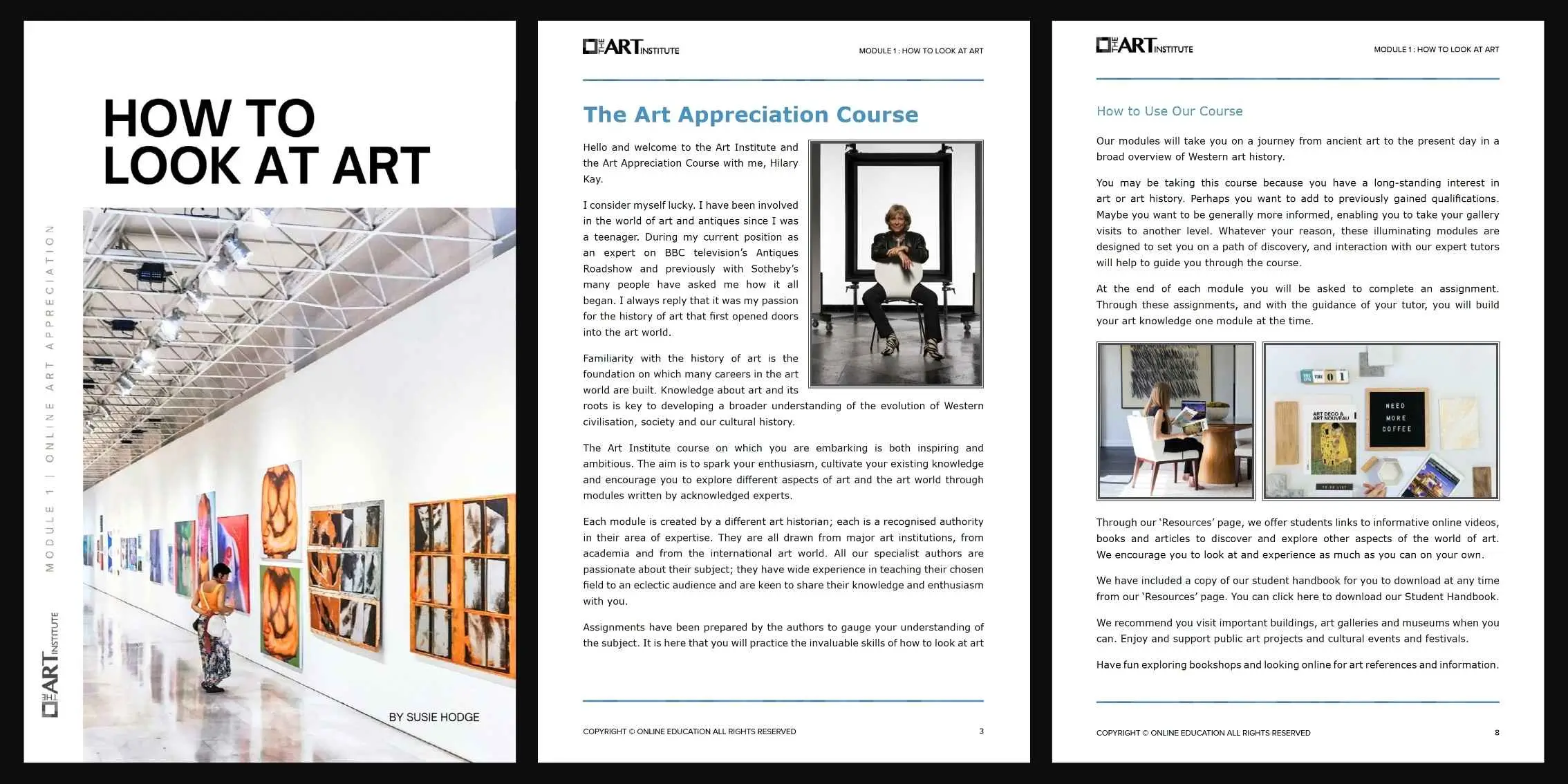 Module 1 How To Look At Art Preview