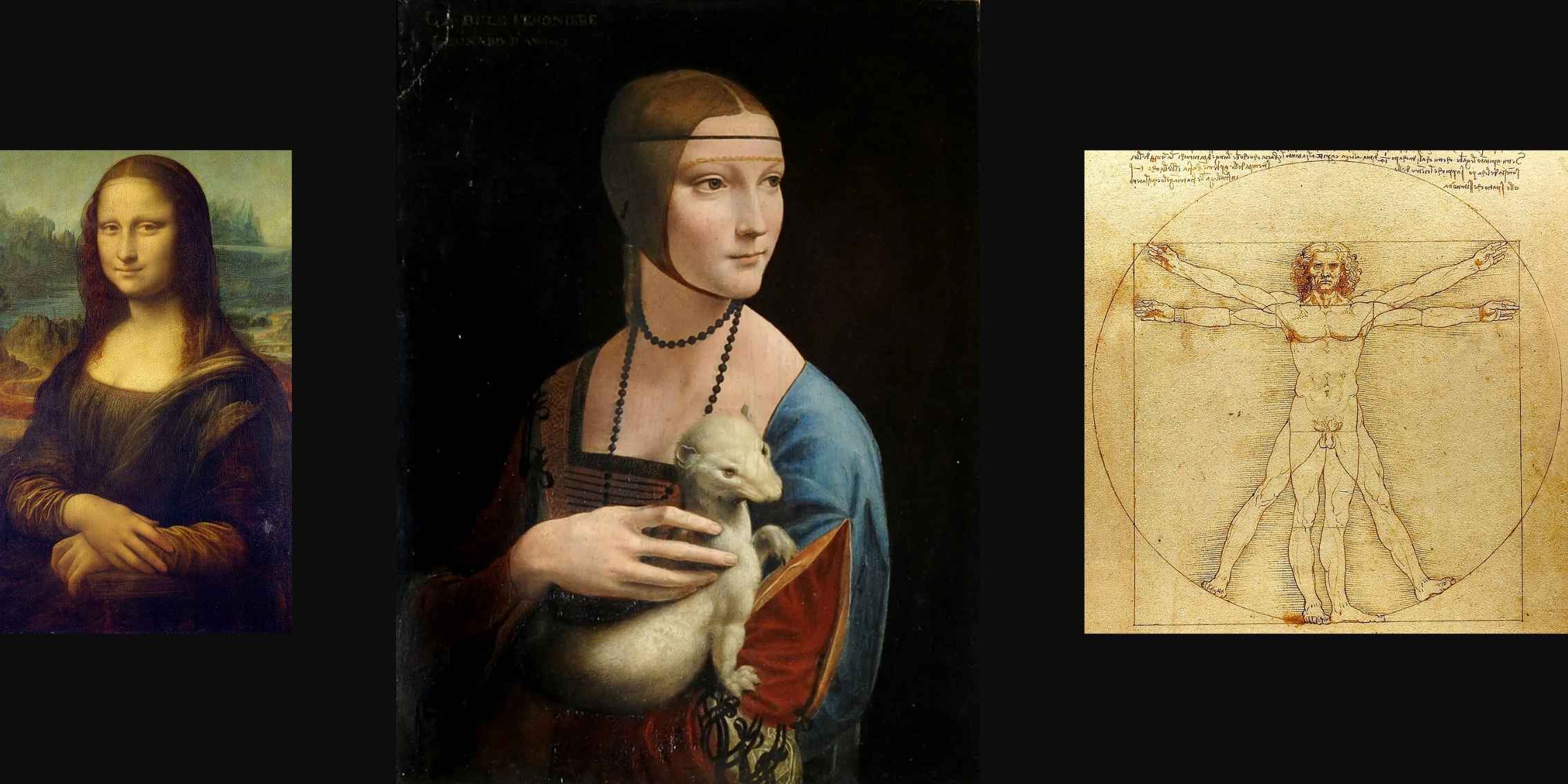Lady with an Ermine A portrait painting of a young woman holding an ermine, painted by
    Leonardo da Vinci.