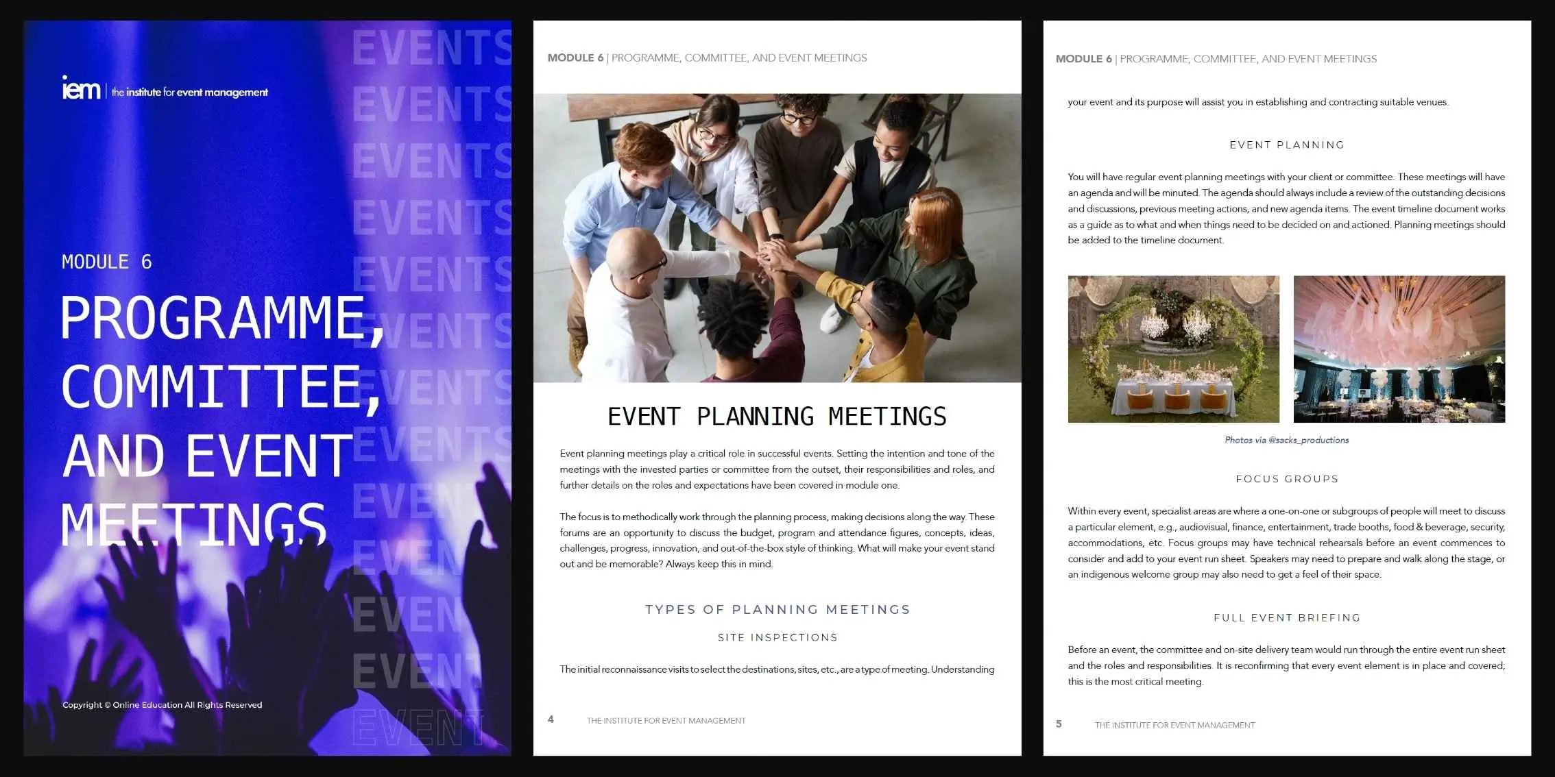 Module 6 Program and Committee Meetings Preview