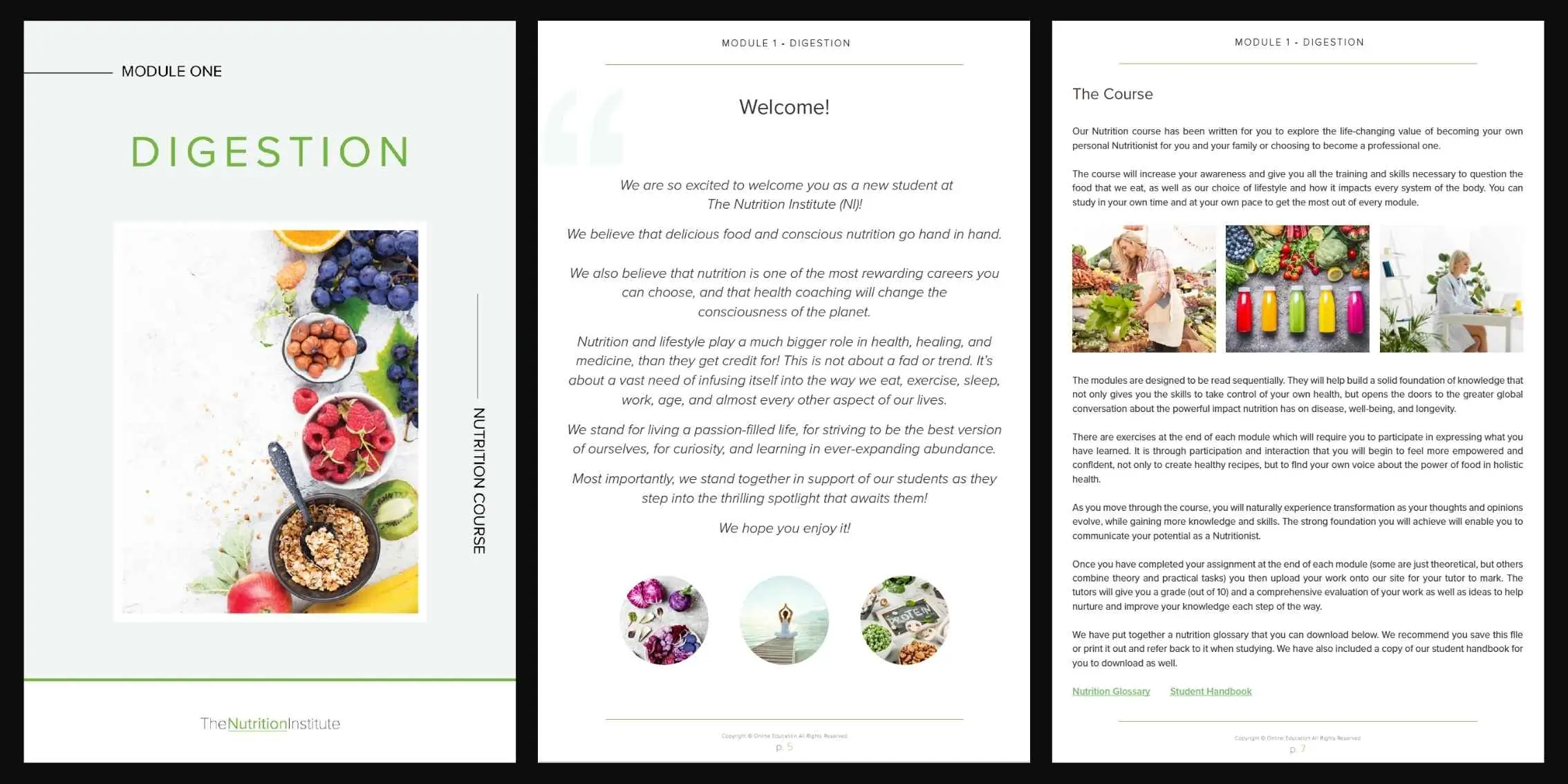 Module 1 Digestion Preview