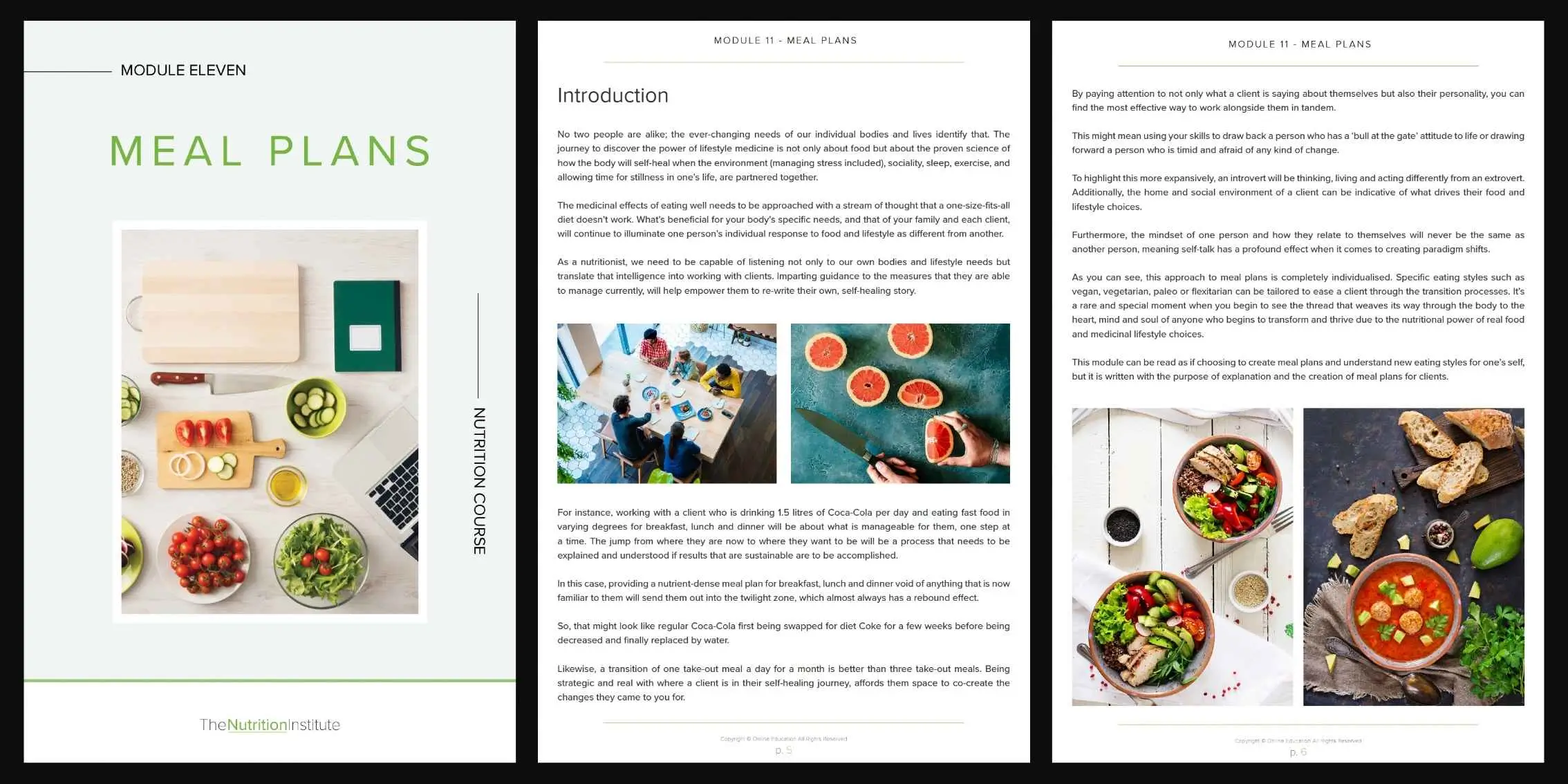 Module 11 Meal Plans Preview