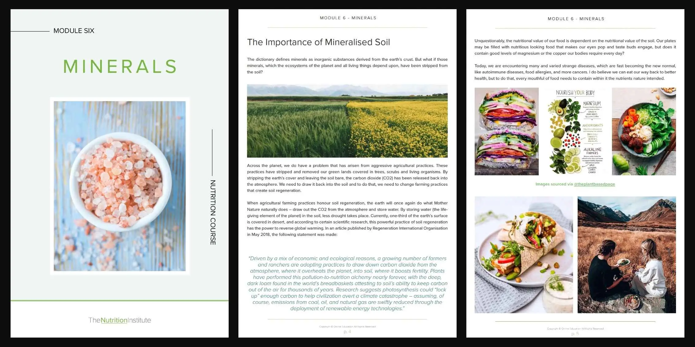 Module 6 Minerals Preview