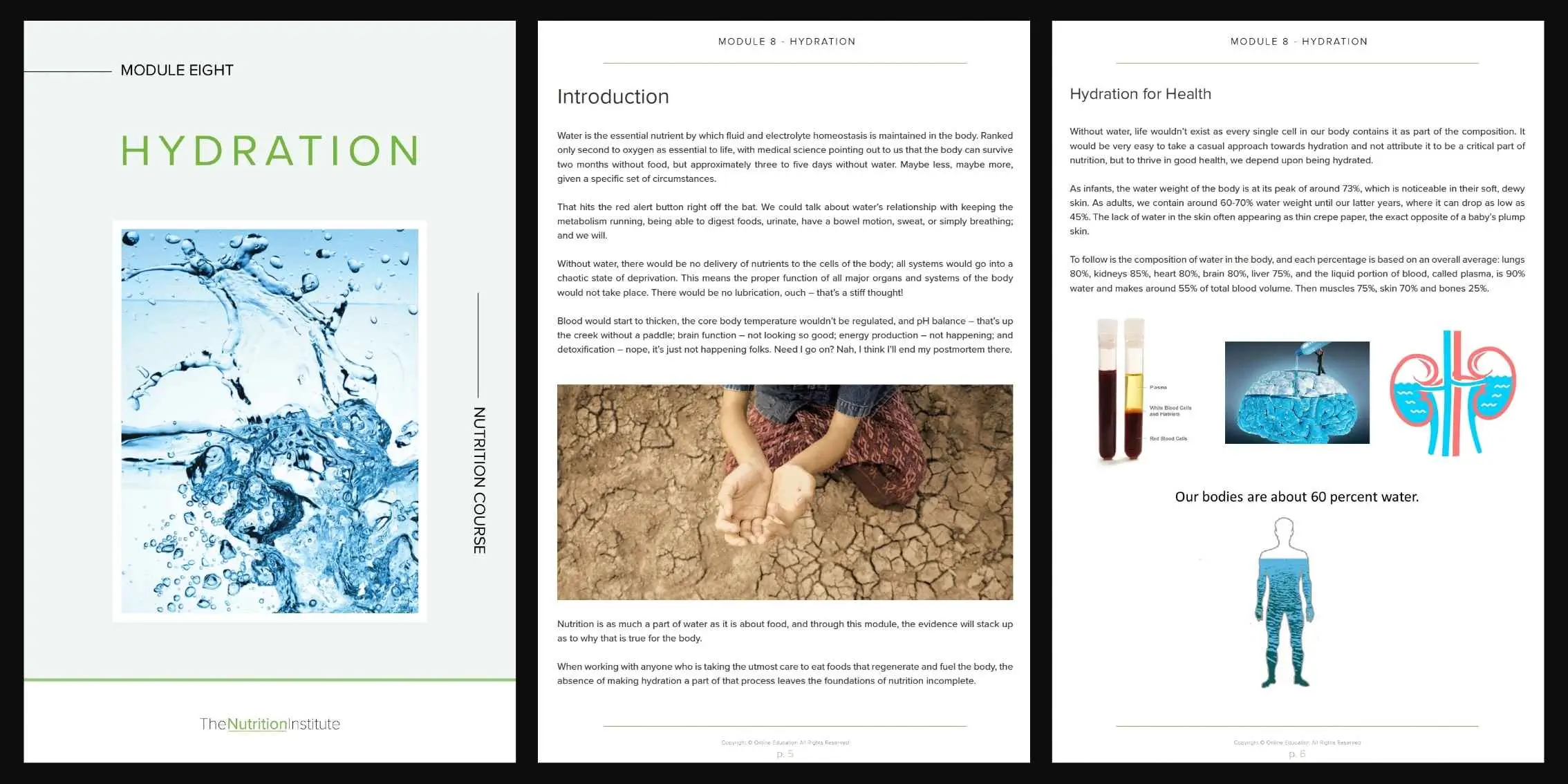 Module 8 Hydration Preview