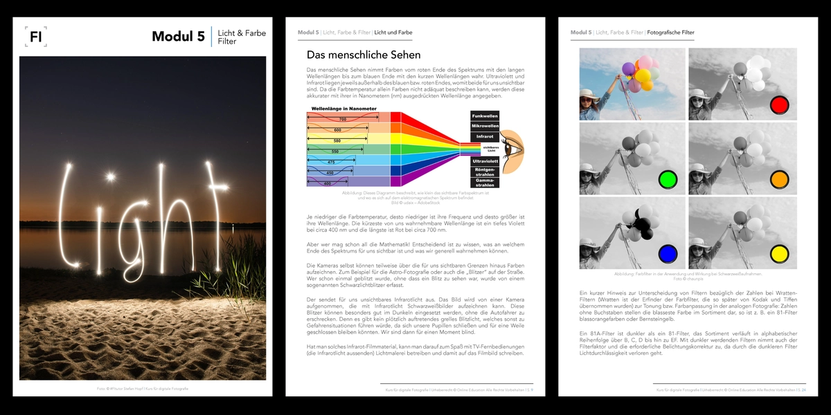 Module 5 Course Preview
