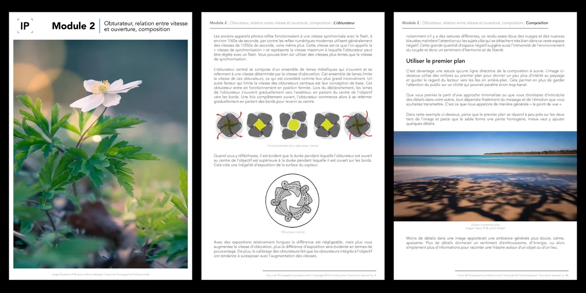 Module 2 Course Preview