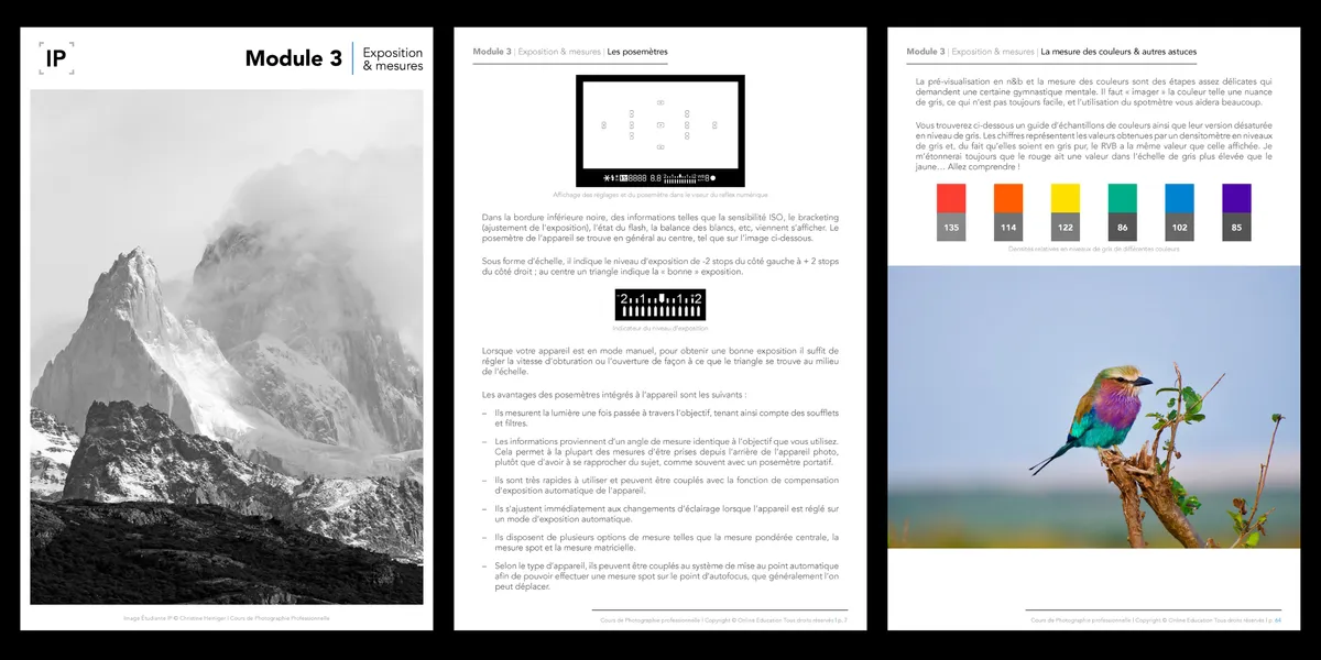 Module 3 Course Preview
