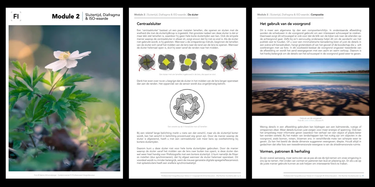 Module 2 Course Preview