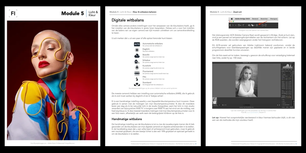 Module 5 Course Preview