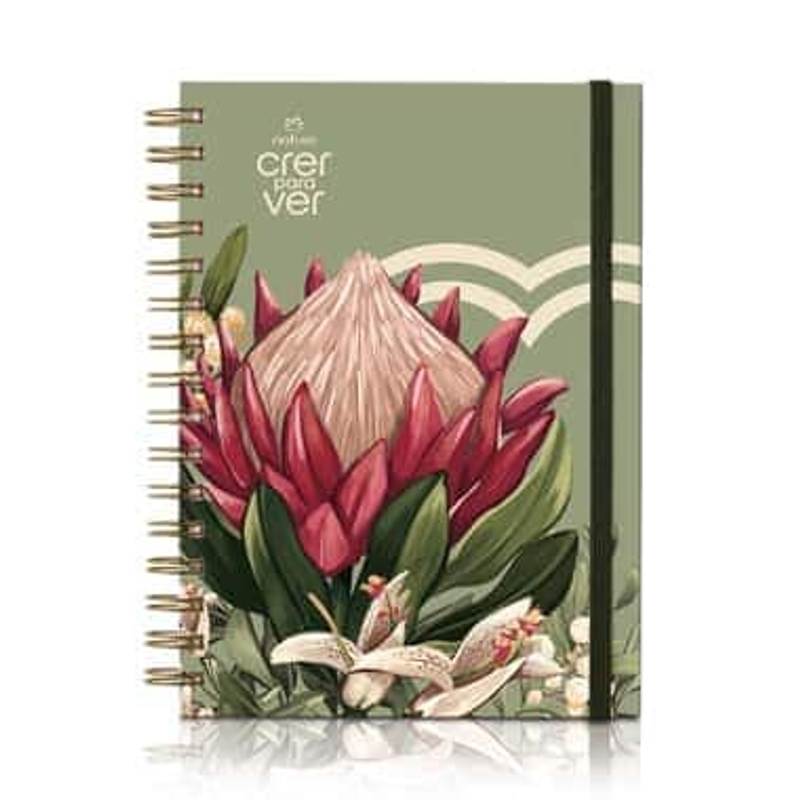 CPV CADERNO MOLA DOURADA