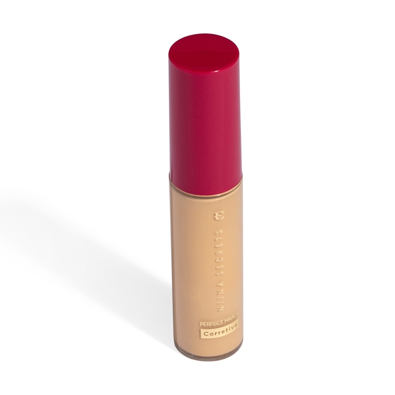Corretivo Niina Secrets Perfect Match Cor 10 10ml - Eudora