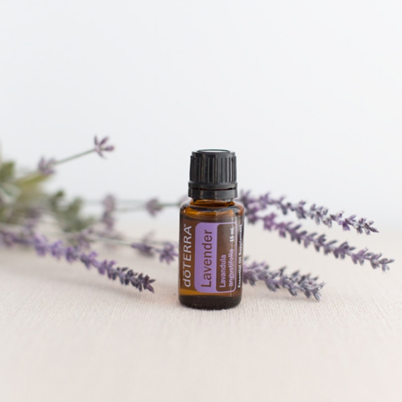 Lavender Óleo Essencial Lavandula angustifolia (Lavanda)-15ml