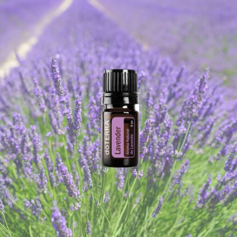 Lavender Aroma Natural de Lavanda-5ml