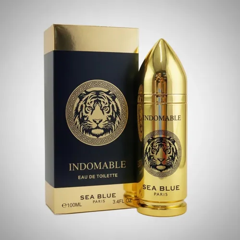 Eau de toilette Indomable - 100ml