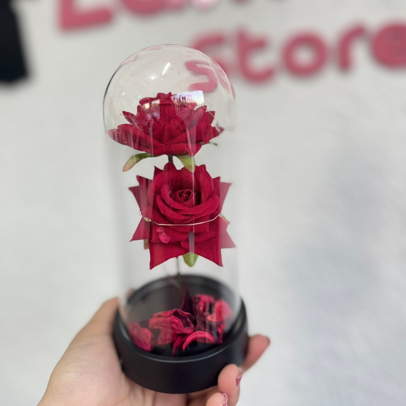 Rosa Cúpula Com Led 2 Rosas