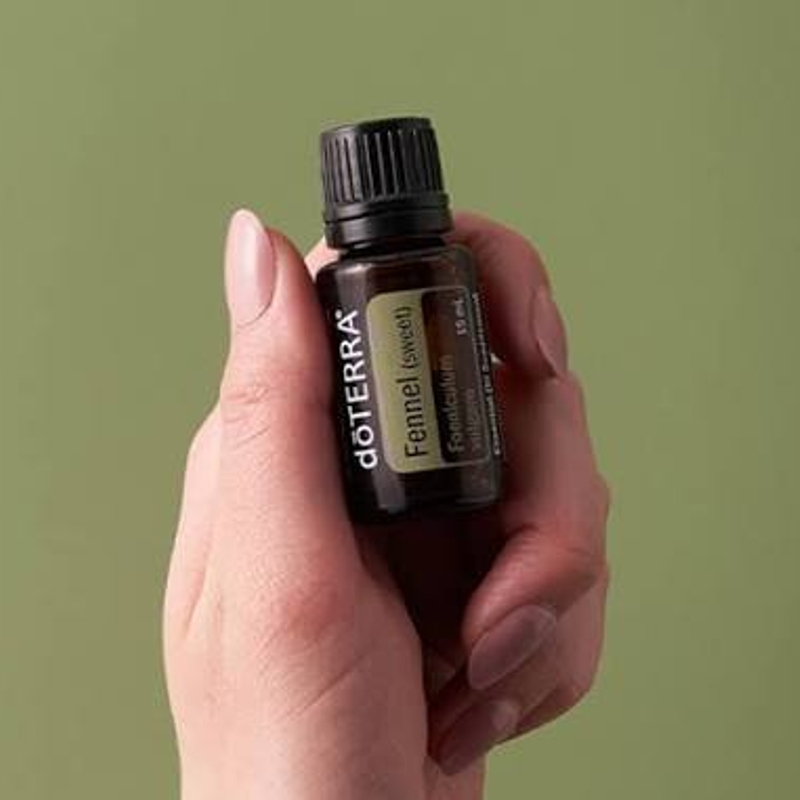 Fennel Aroma Natural de Erva-doce
