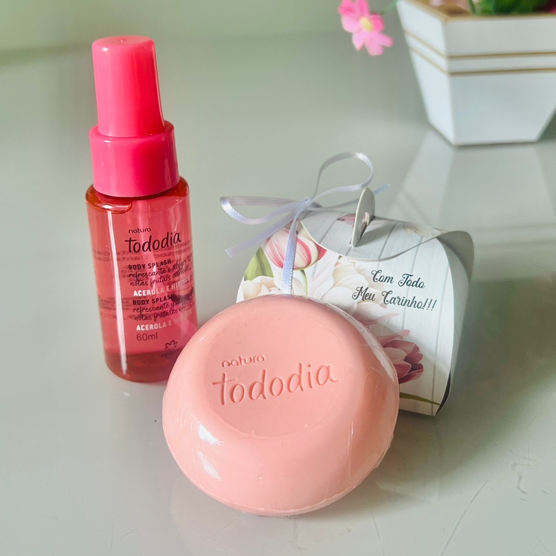 Presente Tododia Acerola E Hibisco