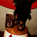 Miniatura 9