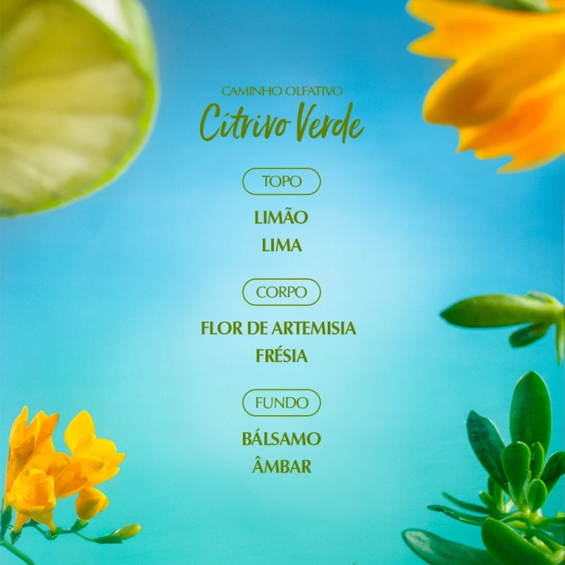 Capim-Limão - Deo Colônia 100ml - foto 4