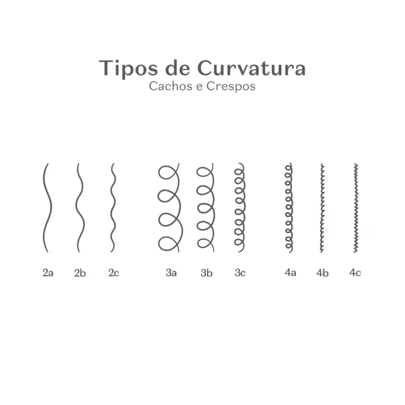 Shampoo Cuide-se Bem Feira Cachos de Uva 270ml - foto 4