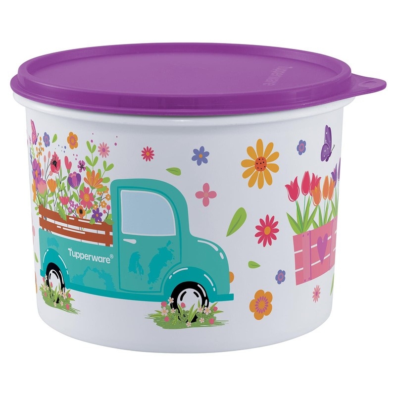 TUPPER CAIXA CAMINHO DAS FLORES 2,4 L