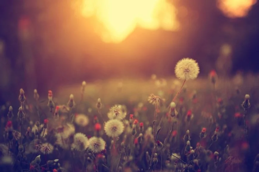 How does this picture make you feel?