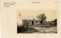 fisk_rf_sf_sp7_06887.jpg
