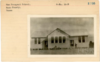 fisk_rf_sf_sp7_07064.jpg