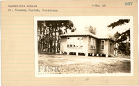fisk_rf_sf_sp3_05529.jpg