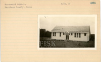 fisk_rf_sf_sp3_05410.jpg