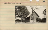 fisk_rf_sf_sp1_04769.jpg