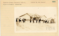 fisk_rf_sf_sp3_05439.jpg