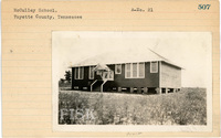 fisk_rf_sf_sp3_05305.jpg