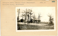 fisk_rf_sf_sp3_05382.jpg