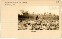 fisk_rf_sf_sp17_11356.jpg