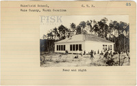 fisk_rf_sf_sp1_04799.jpg