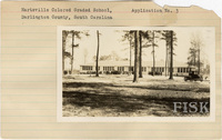 fisk_rf_sf_sp1_04782.jpg