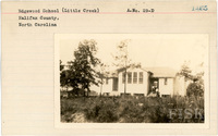 fisk_rf_sf_sp7_06845.jpg