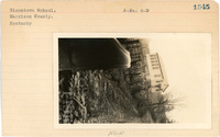 fisk_rf_sf_sp7_06965.jpg